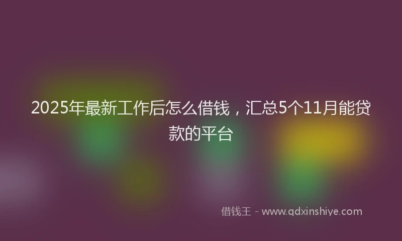 2025年最新工作后怎么借钱，汇总5个11月能贷款的平台