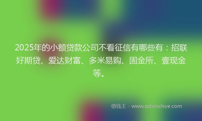 2025年的小额贷款公司不看征信有哪些有：招联好期贷、爱达财富、多米易购、固金所、壹现金等。