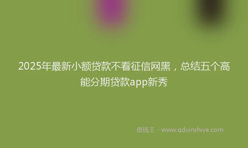 2025年最新小额贷款不看征信网黑，总结五个高能分期贷款app新秀