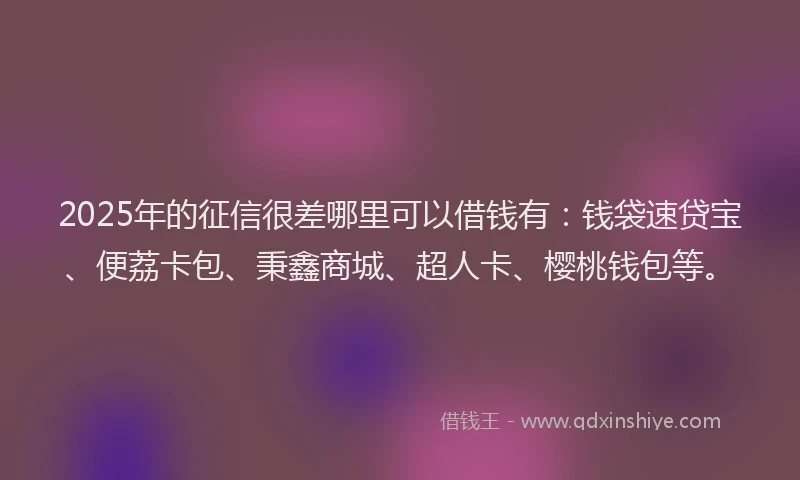 2025年的征信很差哪里可以借钱有：钱袋速贷宝、便荔卡包、秉鑫商城、超人卡、樱桃钱包等。