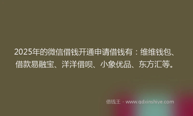 2025年的微信借钱开通申请借钱有：维维钱包、借款易融宝、洋洋借呗、小象优品、东方汇等。