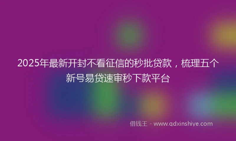 2025年最新开封不看征信的秒批贷款，梳理五个新号易贷速审秒下款平台
