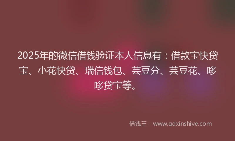 2025年的微信借钱验证本人信息有：借款宝快贷宝、小花快贷、瑞信钱包、芸豆分、芸豆花、哆哆贷宝等。