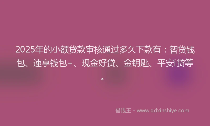 2025年的小额贷款审核通过多久下款有：智贷钱包、速享钱包+、现金好贷、金钥匙、平安i贷等。