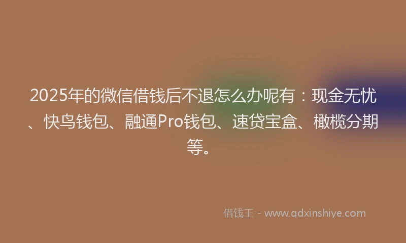 2025年的微信借钱后不退怎么办呢有：现金无忧、快鸟钱包、融通Pro钱包、速贷宝盒、橄榄分期等。