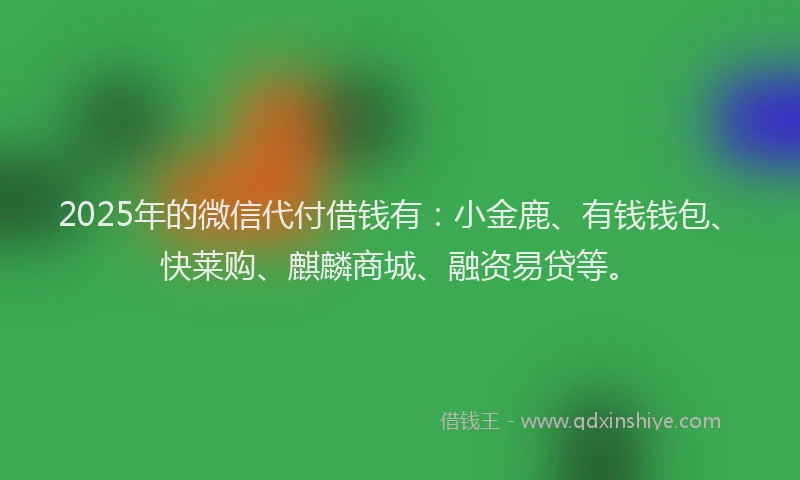 2025年的微信代付借钱有：小金鹿、有钱钱包、快莱购、麒麟商城、融资易贷等。