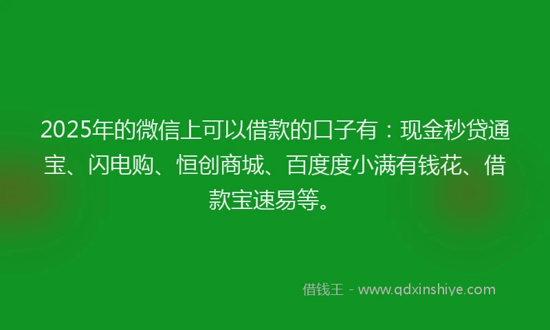 2025年的微信上可以借款的口子有：现金秒贷通宝、闪电购、恒创商城、百度度小满有钱花、借款宝速易等。