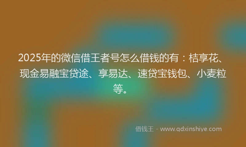 2025年的微信借王者号怎么借钱的有：桔享花、现金易融宝贷途、享易达、速贷宝钱包、小麦粒等。