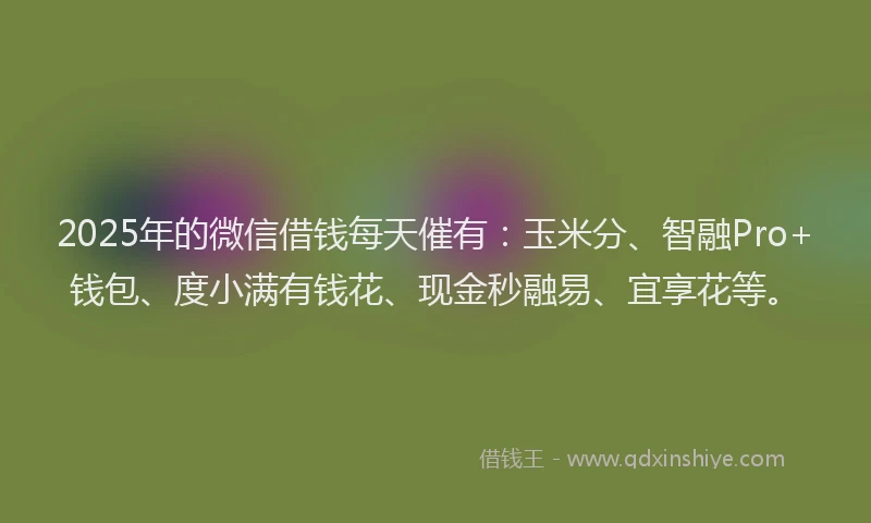 2025年的微信借钱每天催有：玉米分、智融Pro+钱包、度小满有钱花、现金秒融易、宜享花等。