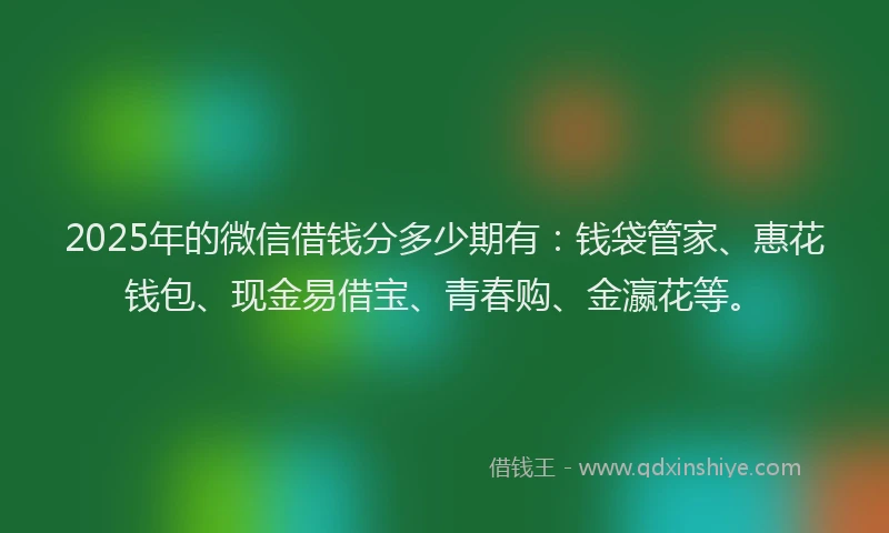 2025年的微信借钱分多少期有：钱袋管家、惠花钱包、现金易借宝、青春购、金瀛花等。