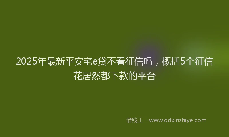 2025年最新平安宅e贷不看征信吗，概括5个征信花居然都下款的平台