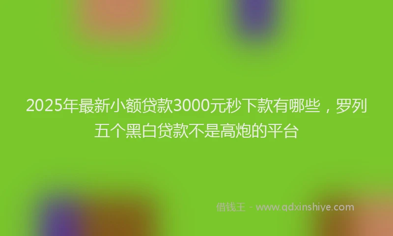 2025年最新小额贷款3000元秒下款有哪些，罗列五个黑白贷款不是高炮的平台