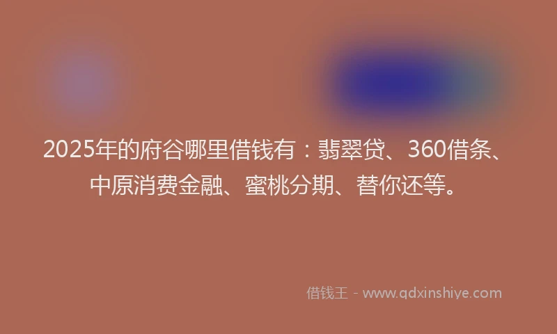 2025年的府谷哪里借钱有：翡翠贷、360借条、中原消费金融、蜜桃分期、替你还等。
