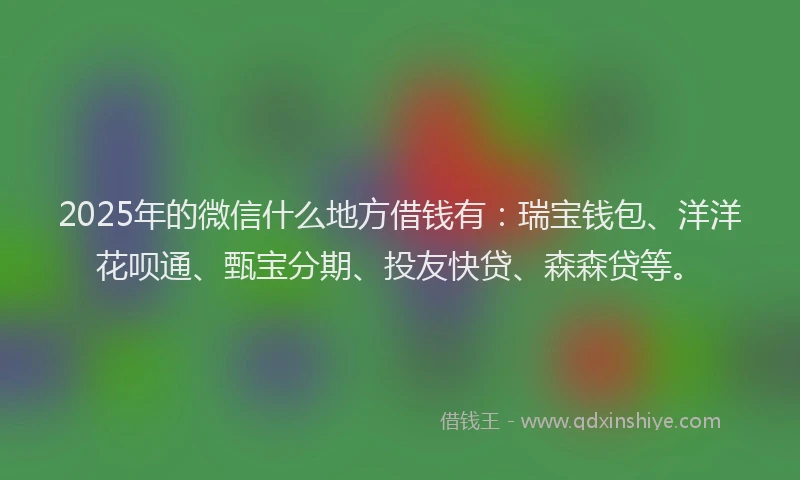 2025年的微信什么地方借钱有：瑞宝钱包、洋洋花呗通、甄宝分期、投友快贷、森森贷等。
