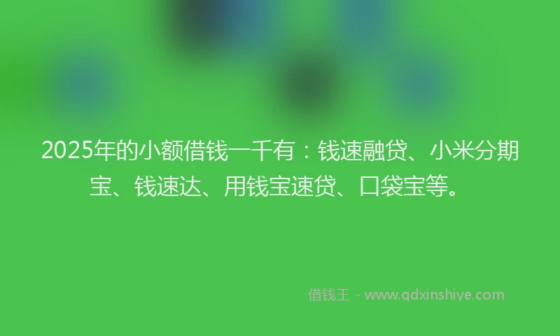 2025年的小额借钱一千有：钱速融贷、小米分期宝、钱速达、用钱宝速贷、口袋宝等。