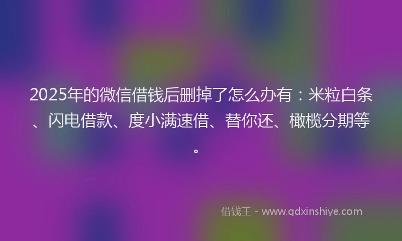 2025年的微信借钱后删掉了怎么办有：米粒白条、闪电借款、度小满速借、替你还、橄榄分期等。