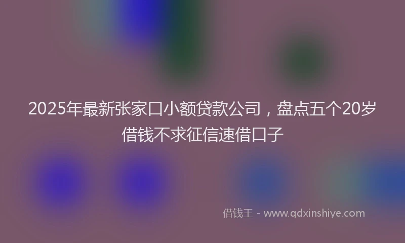 2025年最新张家口小额贷款公司，盘点五个20岁借钱不求征信速借口子