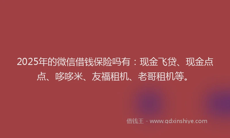 2025年的微信借钱保险吗有：现金飞贷、现金点点、哆哆米、友福租机、老哥租机等。