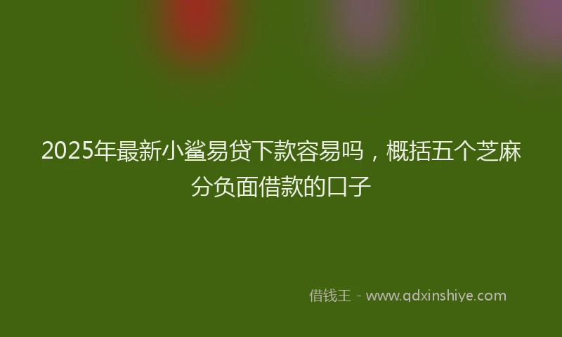 2025年最新小鲨易贷下款容易吗，概括五个芝麻分负面借款的口子