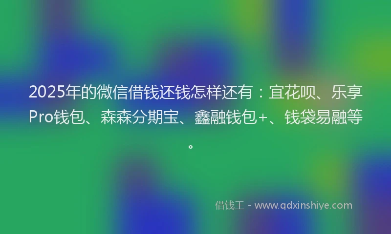 2025年的微信借钱还钱怎样还有：宜花呗、乐享Pro钱包、森森分期宝、鑫融钱包+、钱袋易融等。