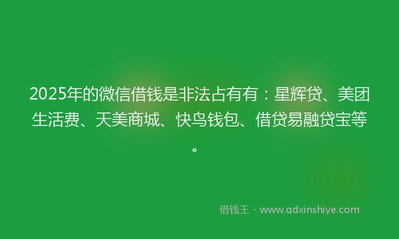 2025年的微信借钱是非法占有有：星辉贷、美团生活费、天美商城、快鸟钱包、借贷易融贷宝等。