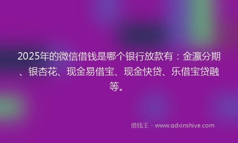 2025年的微信借钱是哪个银行放款有：金瀛分期、银杏花、现金易借宝、现金快贷、乐借宝贷融等。