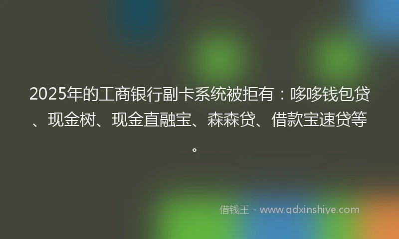 2025年的工商银行副卡系统被拒有：哆哆钱包贷、现金树、现金直融宝、森森贷、借款宝速贷等。