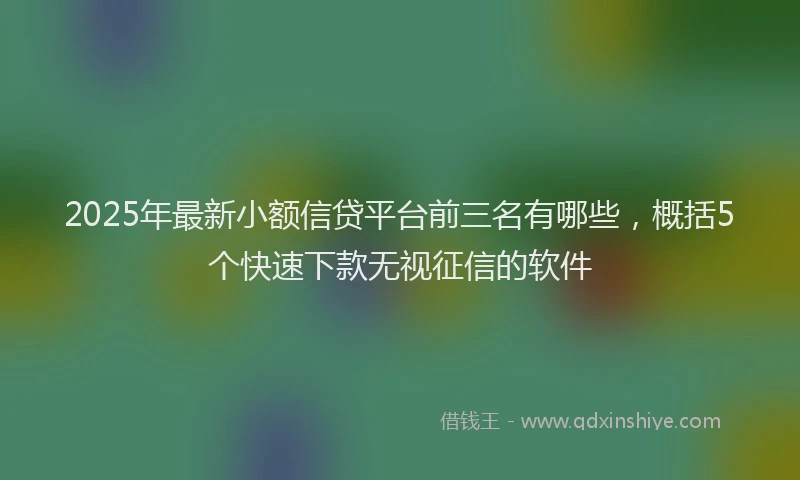 2025年最新小额信贷平台前三名有哪些，概括5个快速下款无视征信的软件