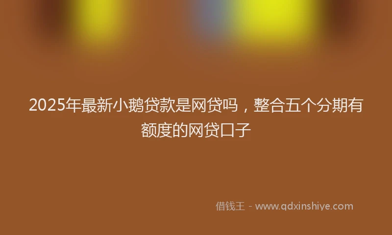 2025年最新小鹅贷款是网贷吗，整合五个分期有额度的网贷口子