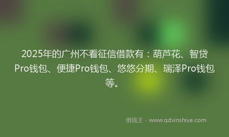 2025年的广州不看征信借款有：葫芦花、智贷Pro钱包、便捷Pro钱包、悠悠分期、瑞泽Pro钱包等。