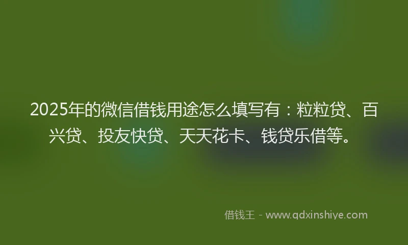 2025年的微信借钱用途怎么填写有：粒粒贷、百兴贷、投友快贷、天天花卡、钱贷乐借等。