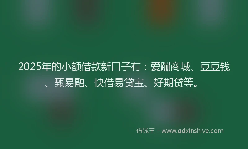 2025年的小额借款新口子有：爱蹦商城、豆豆钱、甄易融、快借易贷宝、好期贷等。