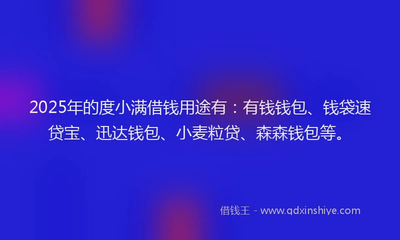 2025年的度小满借钱用途有：有钱钱包、钱袋速贷宝、迅达钱包、小麦粒贷、森森钱包等。