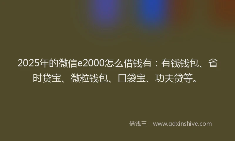 2025年的微信e2000怎么借钱有：有钱钱包、省时贷宝、微粒钱包、口袋宝、功夫贷等。