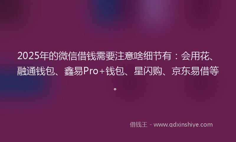 2025年的微信借钱需要注意啥细节有：会用花、融通钱包、鑫易Pro+钱包、星闪购、京东易借等。