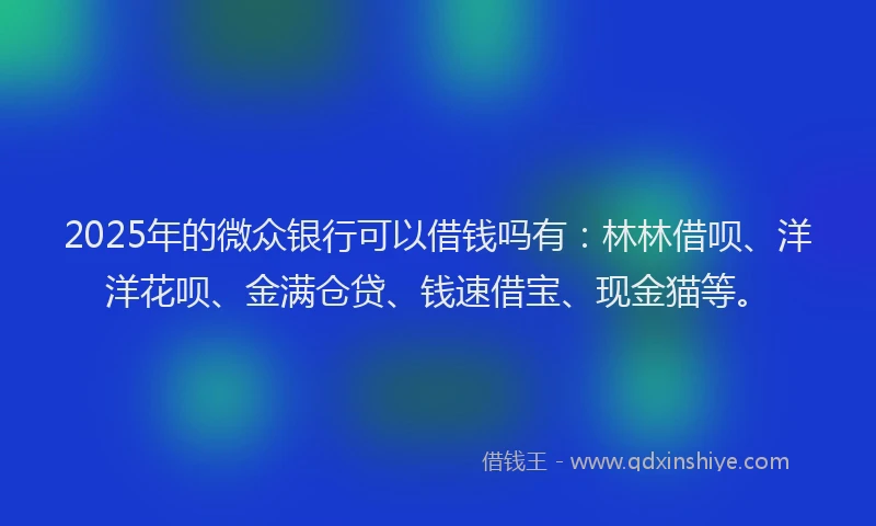 2025年的微众银行可以借钱吗有：林林借呗、洋洋花呗、金满仓贷、钱速借宝、现金猫等。