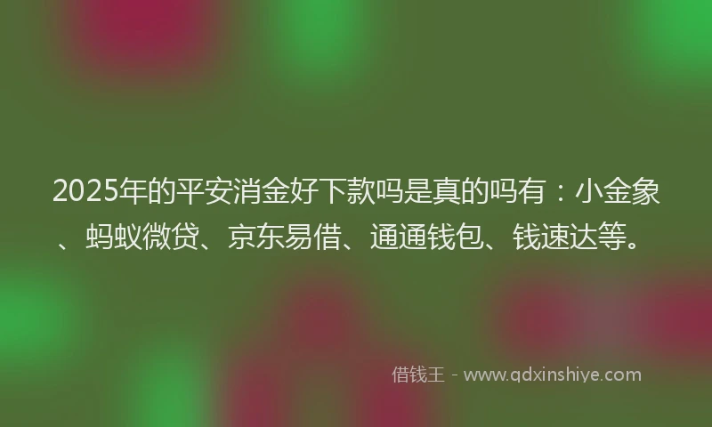 2025年的平安消金好下款吗是真的吗有：小金象、蚂蚁微贷、京东易借、通通钱包、钱速达等。