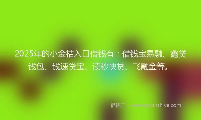 2025年的小金桔入口借钱有：借钱宝易融、鑫贷钱包、钱速贷宝、读秒快贷、飞融金等。