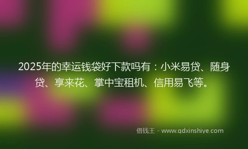 2025年的幸运钱袋好下款吗有：小米易贷、随身贷、享来花、掌中宝租机、信用易飞等。