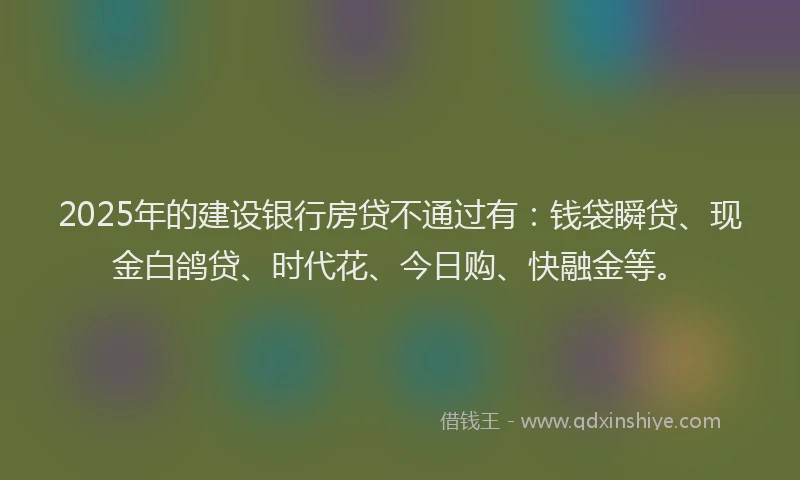 2025年的建设银行房贷不通过有：钱袋瞬贷、现金白鸽贷、时代花、今日购、快融金等。