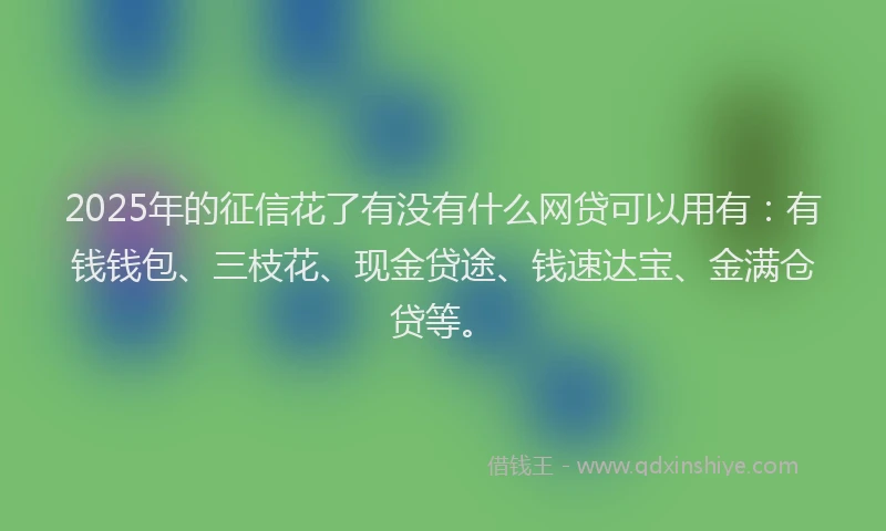 2025年的征信花了有没有什么网贷可以用有：有钱钱包、三枝花、现金贷途、钱速达宝、金满仓贷等。