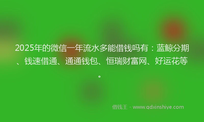 2025年的微信一年流水多能借钱吗有：蓝鲸分期、钱速借通、通通钱包、恒瑞财富网、好运花等。