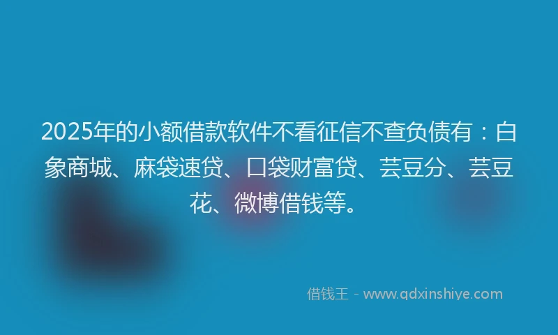 2025年的小额借款软件不看征信不查负债有：白象商城、麻袋速贷、口袋财富贷、芸豆分、芸豆花、微博借钱等。