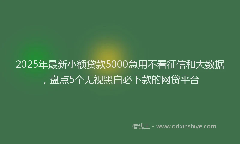 2025年最新小额贷款5000急用不看征信和大数据，盘点5个无视黑白必下款的网贷平台