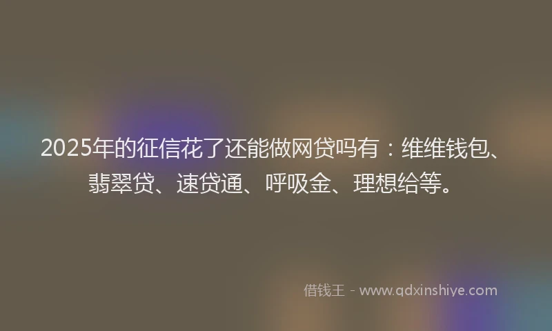 2025年的征信花了还能做网贷吗有：维维钱包、翡翠贷、速贷通、呼吸金、理想给等。