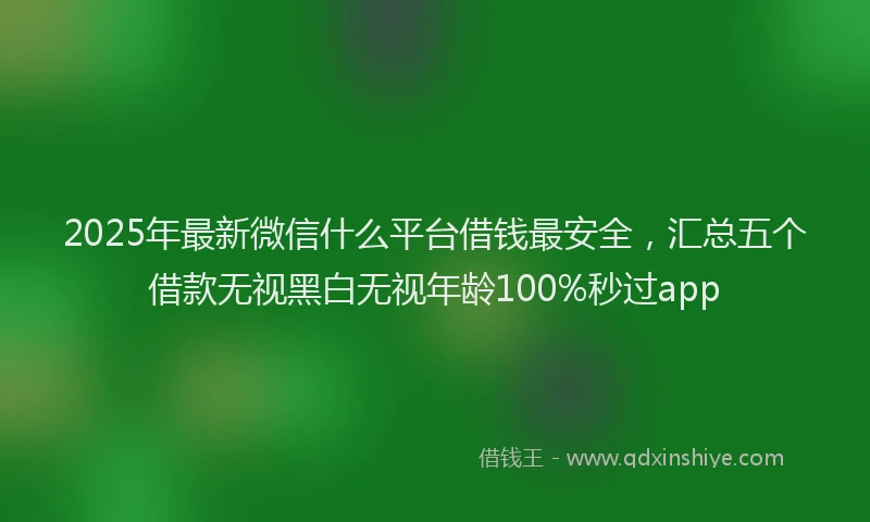 2025年最新微信什么平台借钱最安全，汇总五个借款无视黑白无视年龄100%秒过app
