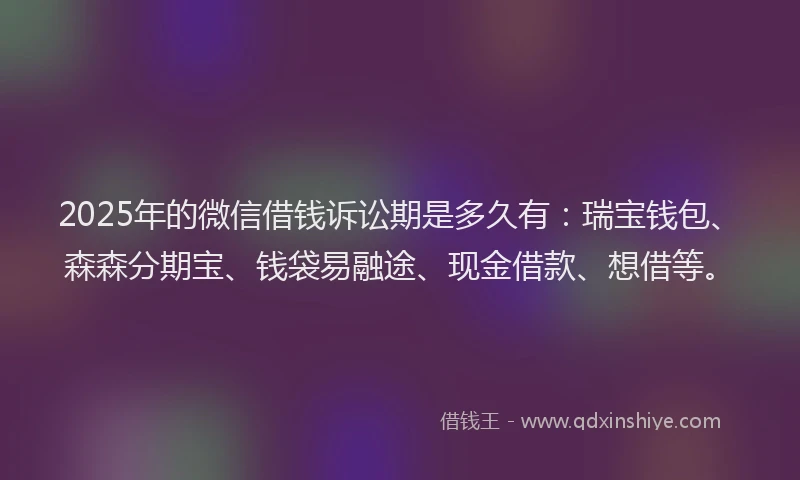 2025年的微信借钱诉讼期是多久有：瑞宝钱包、森森分期宝、钱袋易融途、现金借款、想借等。