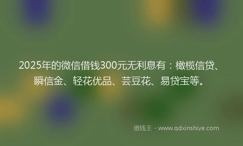 2025年的微信借钱300元无利息有：橄榄信贷、瞬信金、轻花优品、芸豆花、易贷宝等。