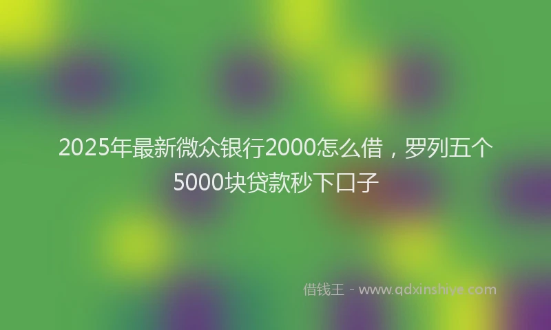 2025年最新微众银行2000怎么借，罗列五个5000块贷款秒下口子