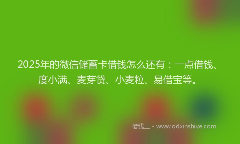 2025年的微信储蓄卡借钱怎么还有：一点借钱、度小满、麦芽贷、小麦粒、易借宝等。